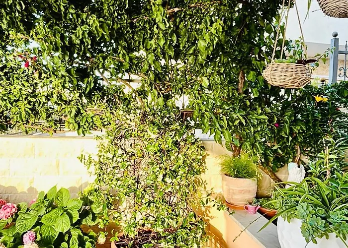 Sunny Elza 2 Apartman