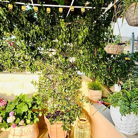 Sunny Elza 2 Apartament